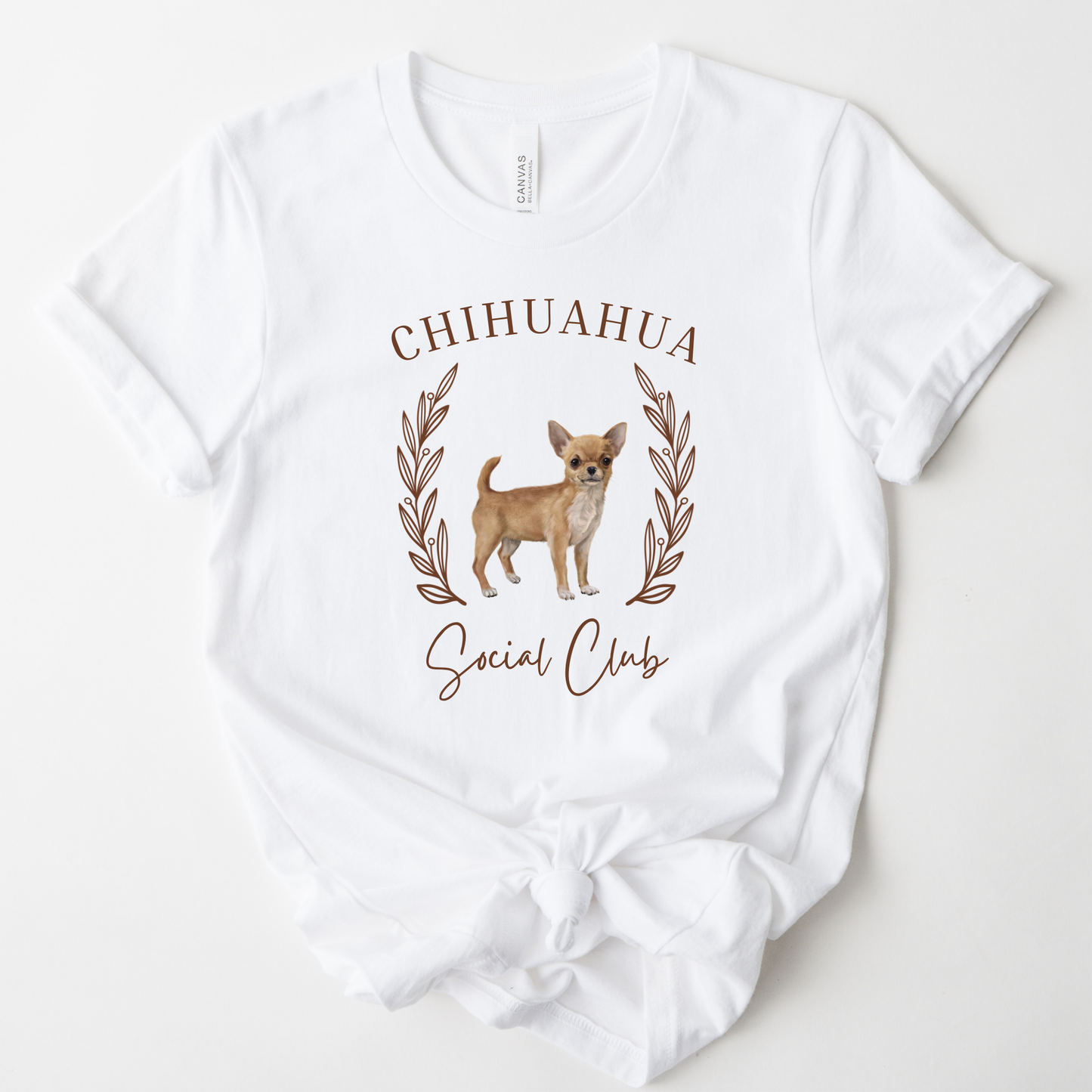 Chihuahua Social Club