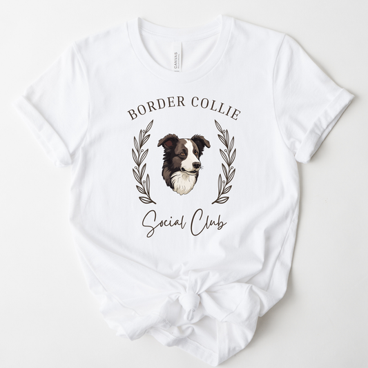 Border Collie Social Club